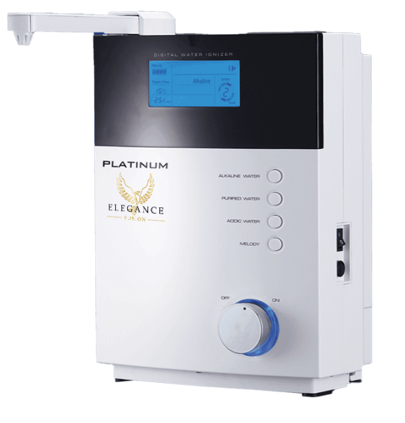 Ionized water filter system